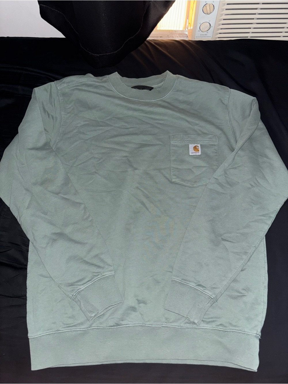 Carhartt Men’s Crewneck Pocket Sweatshirt in Sage